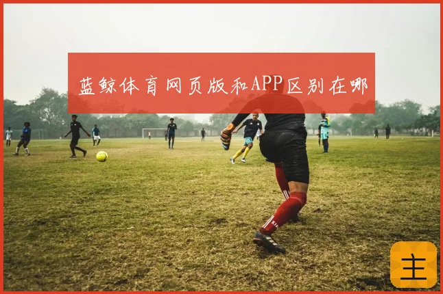 蓝鲸体育网页版和APP区别在哪